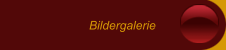 Bildergalerie